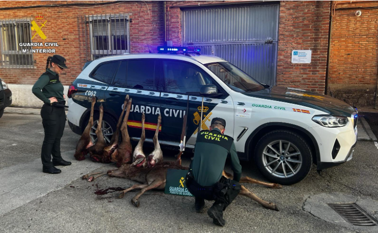Cazadores furtivos sorprendidos en la Montaña Palentina con una cierva, seis patas y dos cornamentas en su vehículo