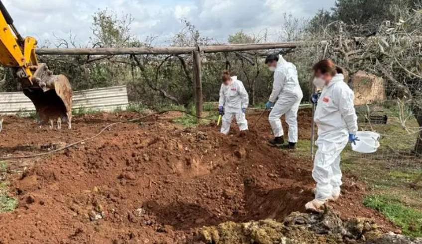 Detenidos dos hombres por gestionar una explotación ilegal: robo de cabras, ovejas y corderos, y sacrificio clandestino de animales