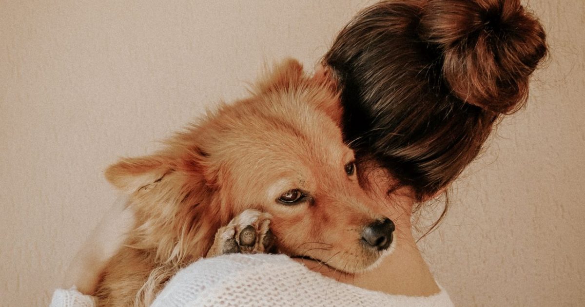 Despedida por acudir de urgencia al veterinario con su perra: un juez considera que actuó por razones humanitarias